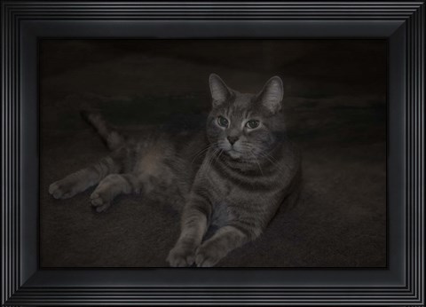 Framed Lounging Leila Print