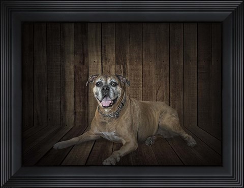 Framed Madison Print