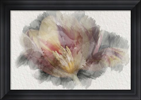 Framed Blooming Tulip Print