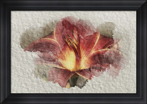 Framed Red Lily Print
