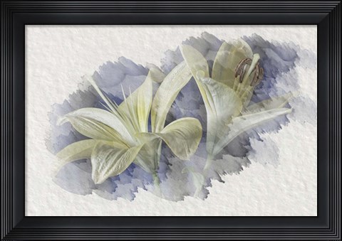 Framed Yellow Lily 2 Print