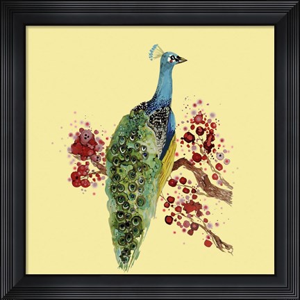 Framed Paon Carre Print