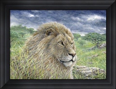Framed Lion Print