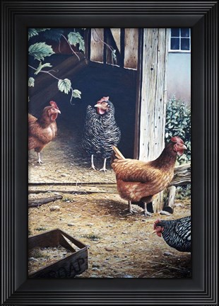 Framed Russells chickens Print