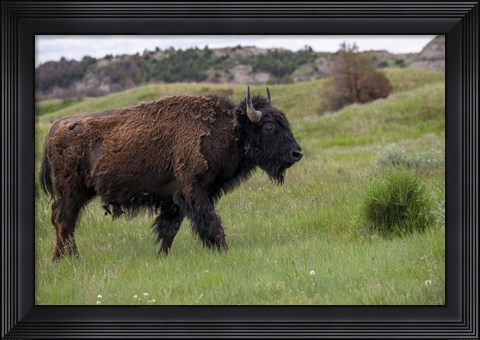 Framed Enter the Badlands 3 Print