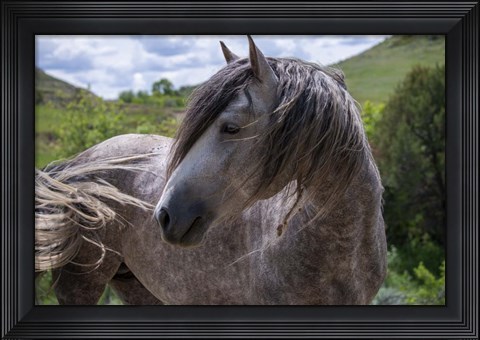 Framed Enter the Badlands 4 Print