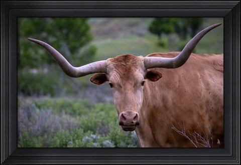 Framed Enter the Badlands 5 Print