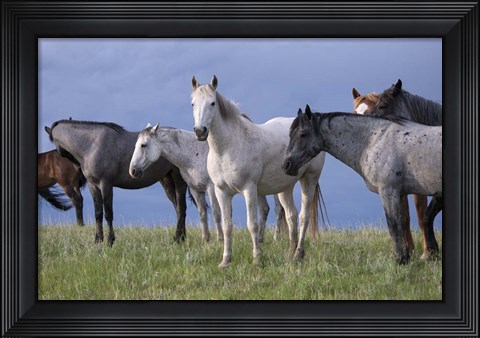 Framed Enter the Badlands 7 Print