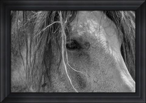 Framed Enter the Badlands B&amp;W 1 Print
