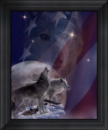 Framed Spirit of America Print