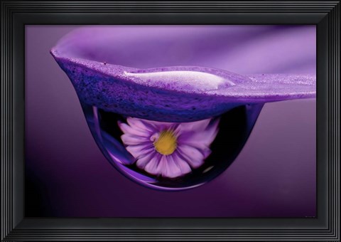 Framed Water Drops 4 Print