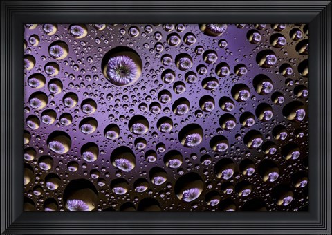 Framed Window Drops 1 Print