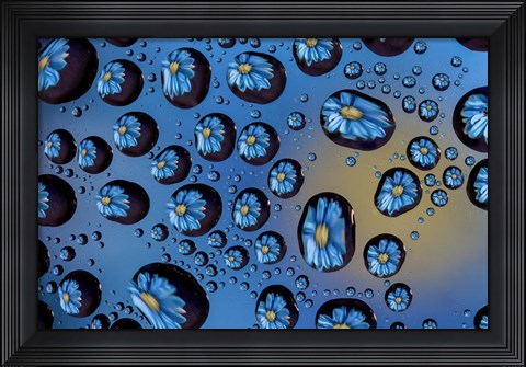 Framed Window Drops 6 Print