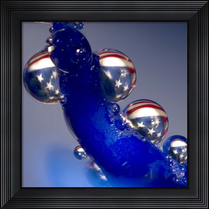 Framed Red, White and Blue Orchid 10 Print