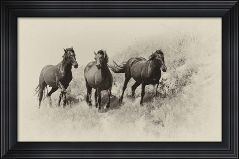 Framed Badlands Antique 3 Print