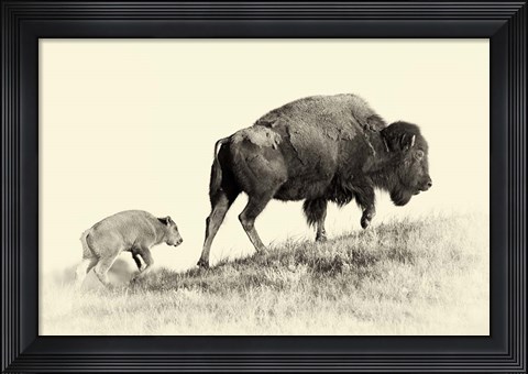 Framed Badlands Antique 6 Print