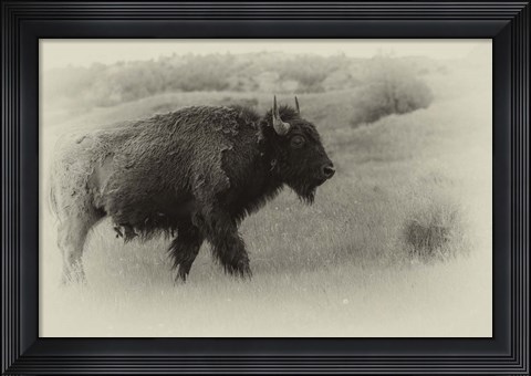 Framed Badlands Antique 12 Print