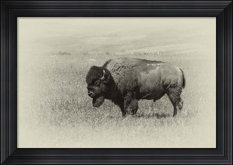 Framed Badlands Antique 13 Print