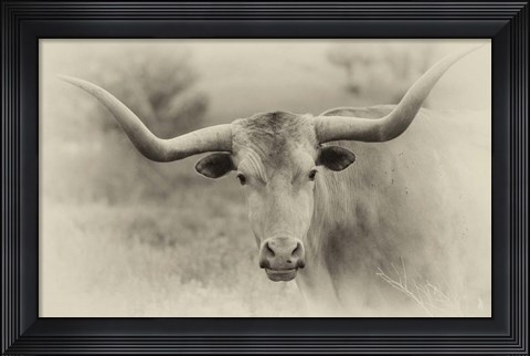 Framed Badlands Antique 14 Print