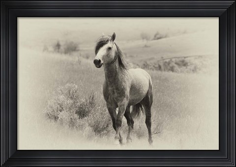 Framed Badlands Antique 15 Print