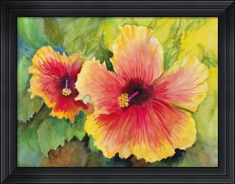 Framed Bright Colored Hibiscus Print
