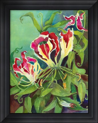 Framed Flame Lilies Print