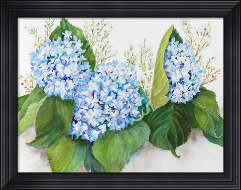 Framed Hydrangea and Wax Flower Print