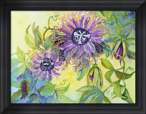 Framed Lavender Passion Plant Print