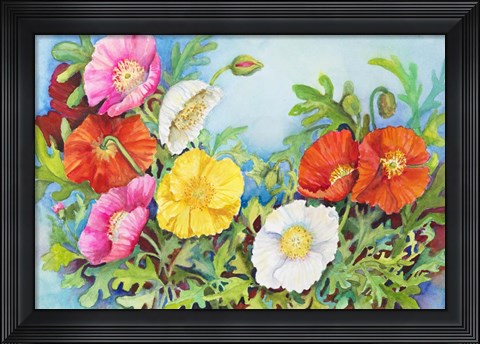 Framed Small Colorful Poppies Print
