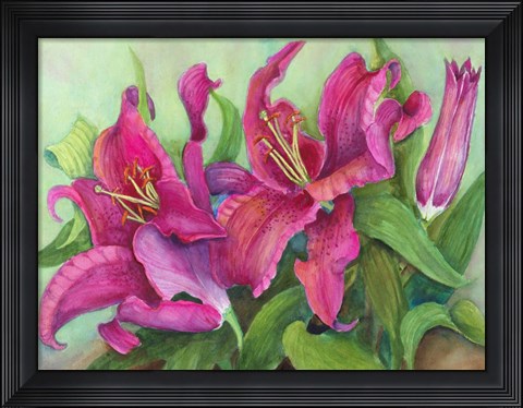 Framed Vibrant Red Lilies Print
