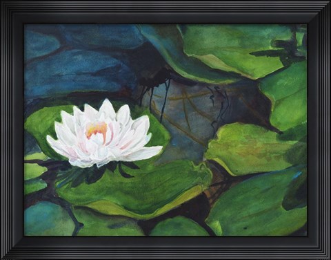 Framed White Waterlily Print