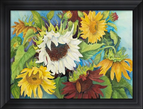 Framed White Sunflower Print
