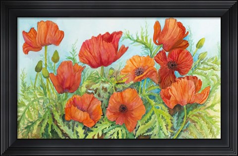 Framed Poppies in a Field Print