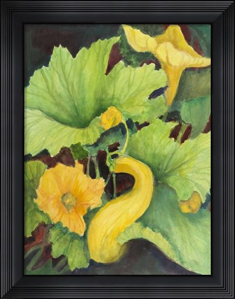 Framed Squash Print