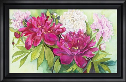 Framed Three Colors of Peonies Print