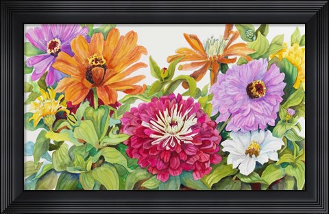 Framed Zinnias A Glow Print