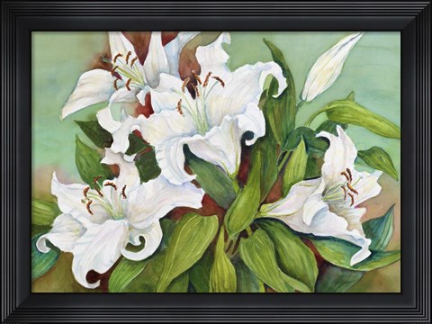Framed Casa Blanca Lilies Print