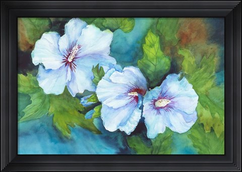 Framed Hibiscus with Red Centers Print