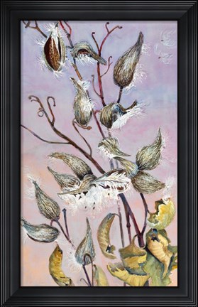 Framed Milkweeds Print