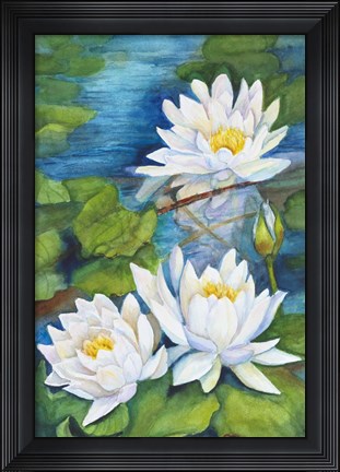 Framed White Waterlilies Print