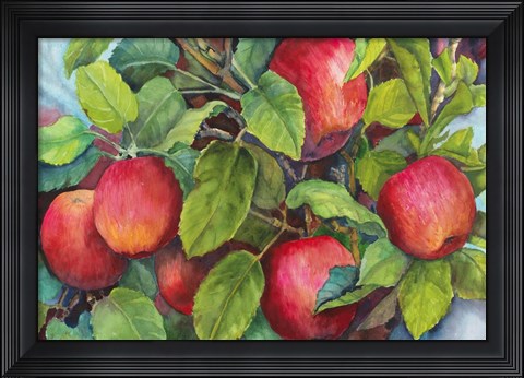 Framed Apples Print