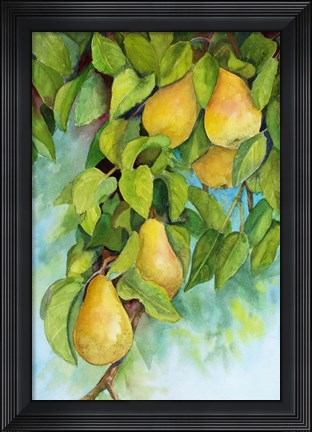 Framed Pears 2 Print