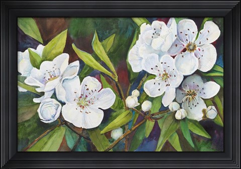 Framed Pear Blossoms Print