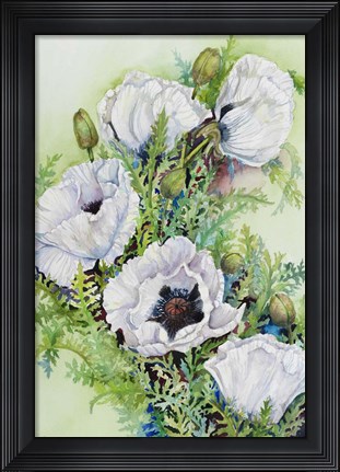 Framed White Poppies Print