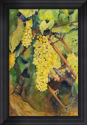 Framed Yellow Grapes Print
