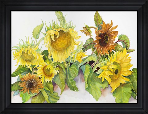 Framed Gold and Bronze Sunflowers Print