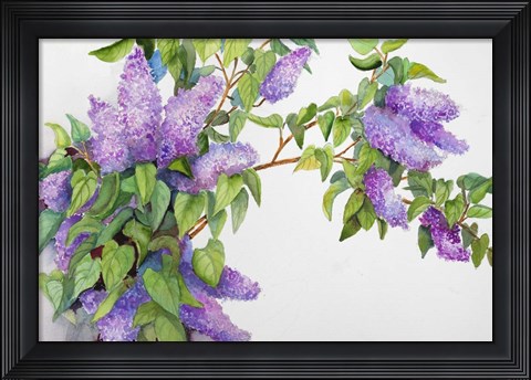 Framed Lavender Lilacs Print