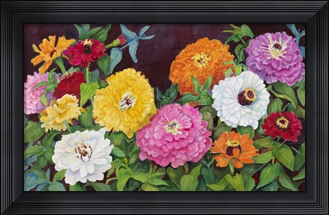Framed Zinnias in Many Colors Print