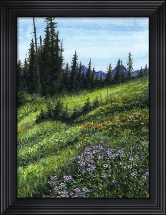Framed Alpine Treasures Print