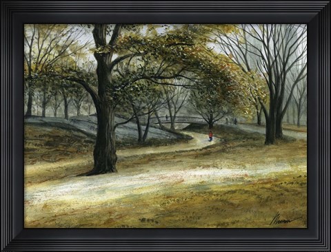 Framed Central Park December Print
